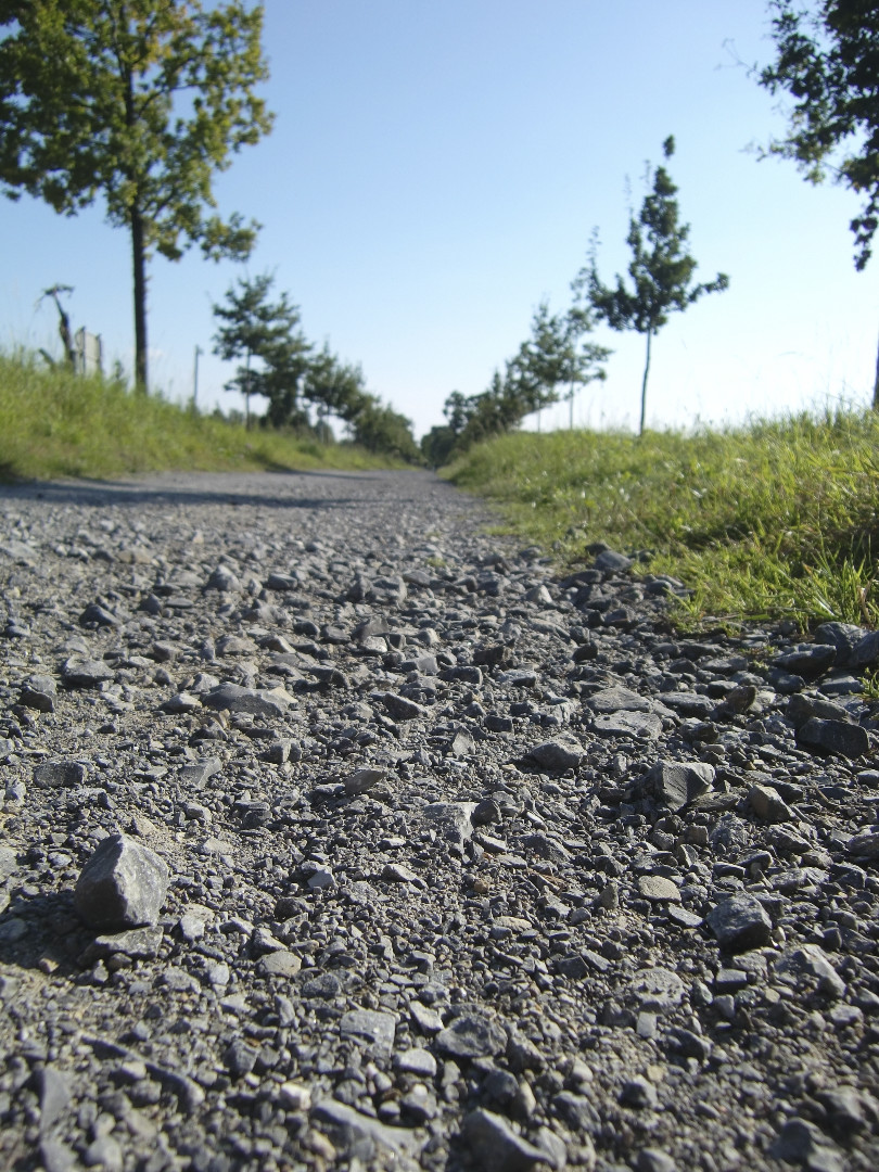 Radweg Oesterholz - Schlangen