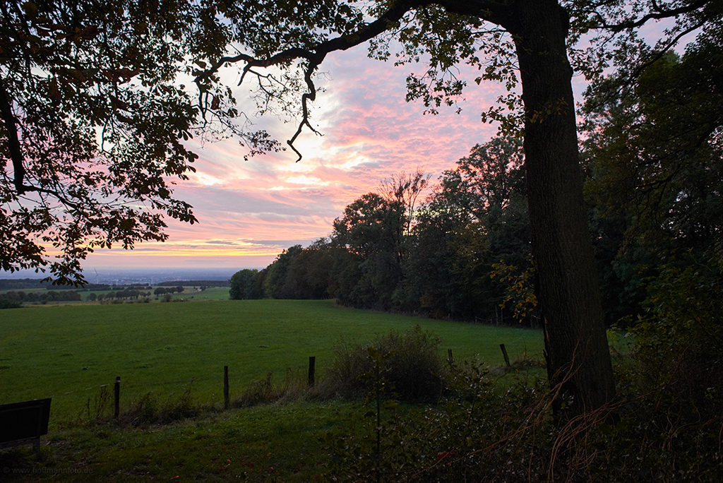 Blick vom Bauerkamp auf Schlangen / Foto: Ansgar Hoffmann